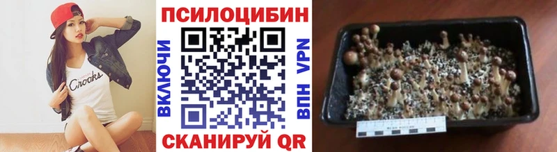 Галлюциногенные грибы мухоморы Болхов